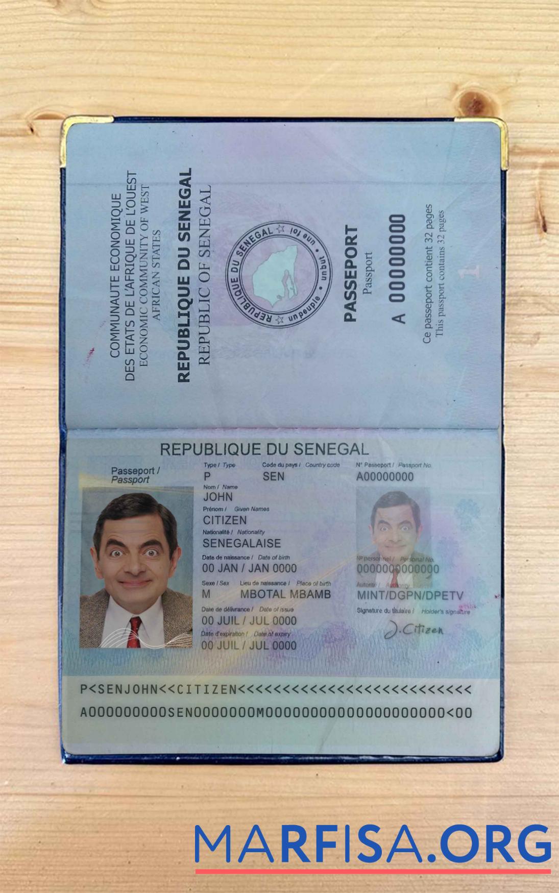 Blank Senegal pass photo look real example